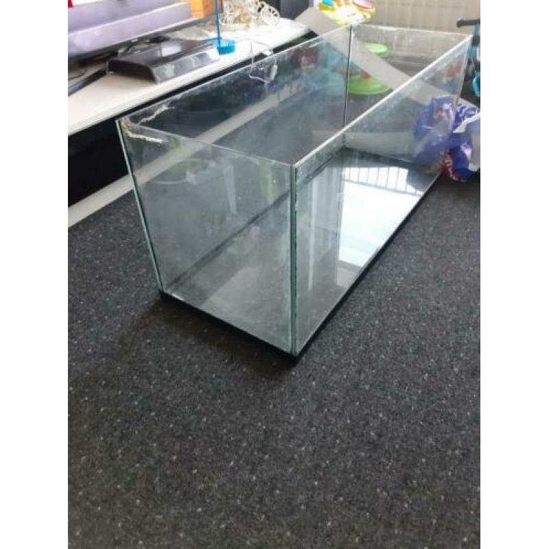 1 meter aquarium