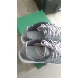 lacoste schoenen heren 42