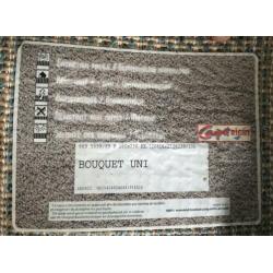 Carpetright kleed azuurblauw 160x230