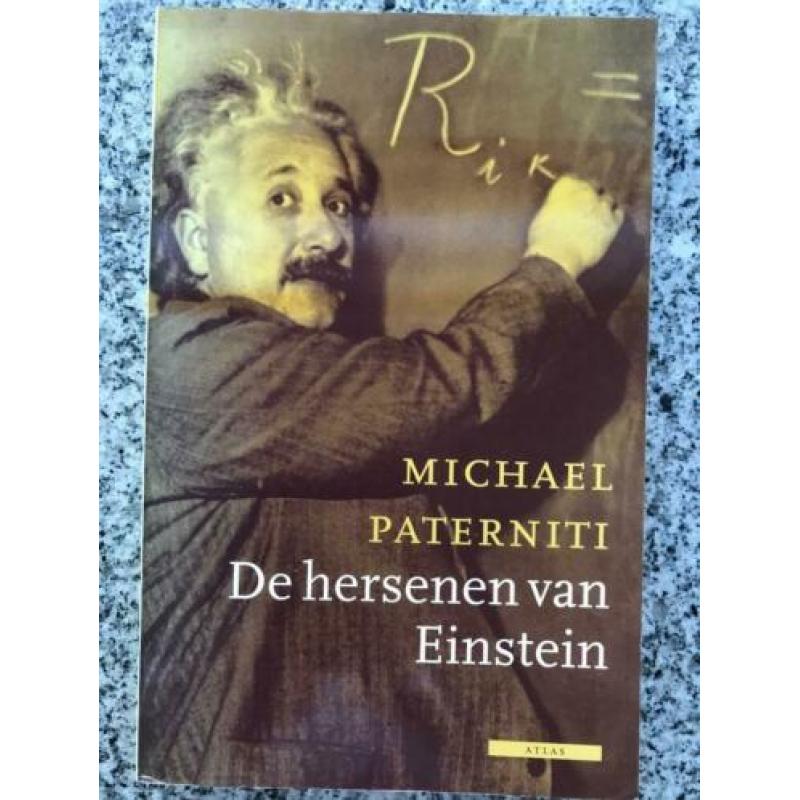 De hersenen van Einstein (Michael Paterniti)