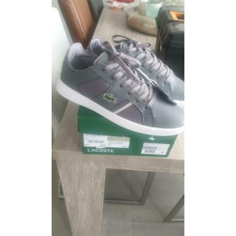 lacoste schoenen heren 42