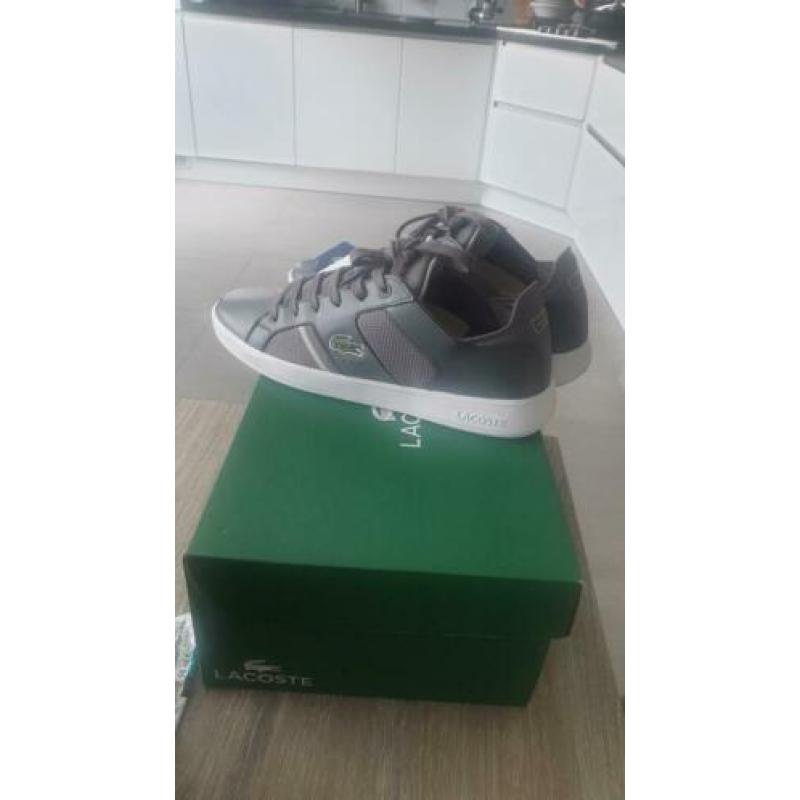 lacoste schoenen heren 42