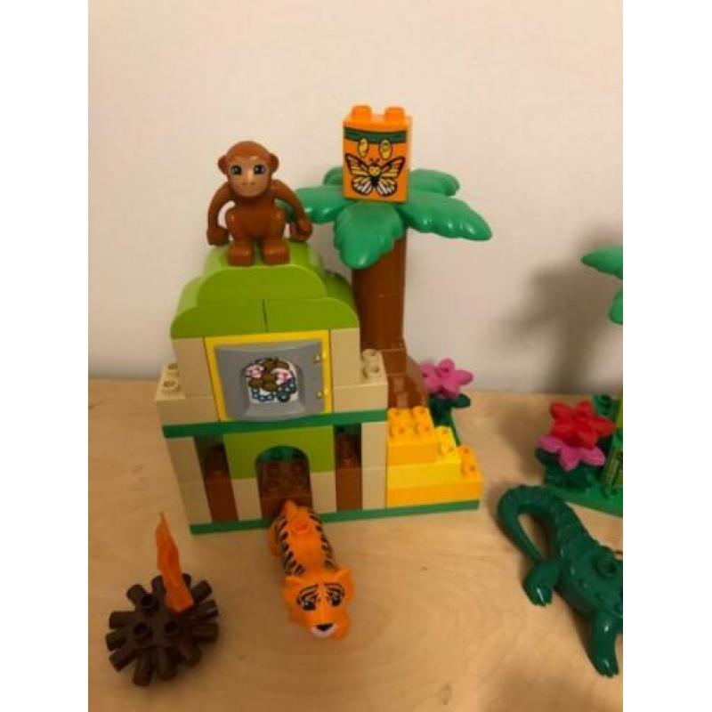 Lego Duplo - Jungle 10804