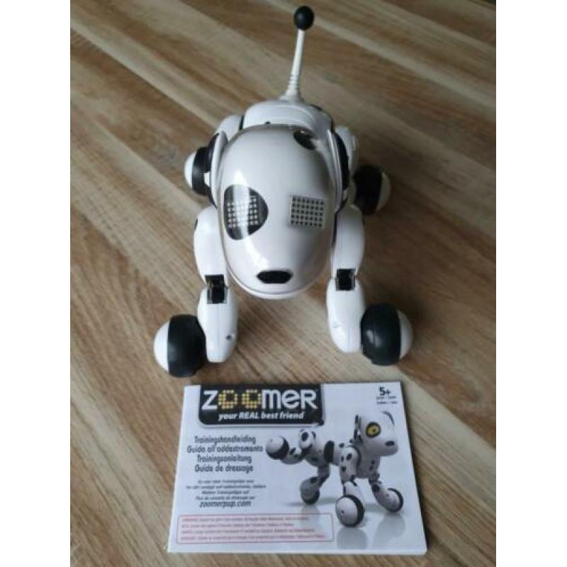 Zoomer Robothond