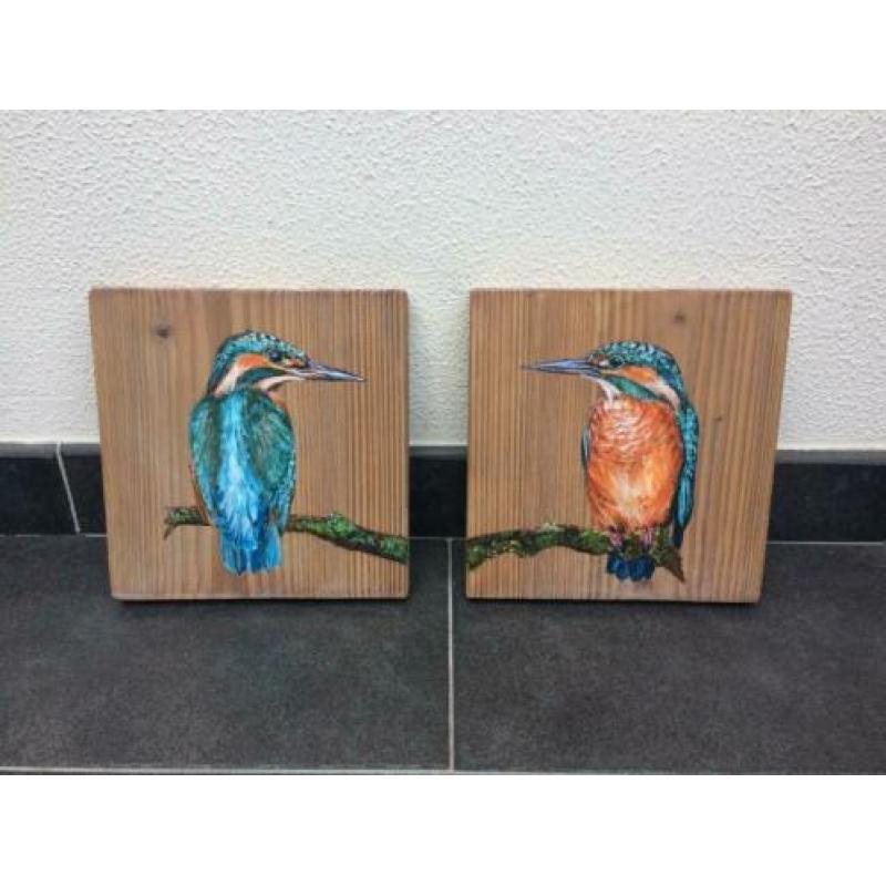 Handgeschilderd schilderij 2 x ijsvogel op steigerhout