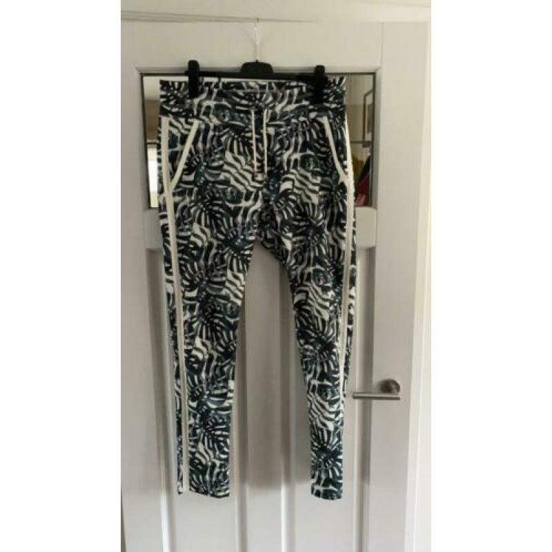 Broek Zizo met gave print, maat 46