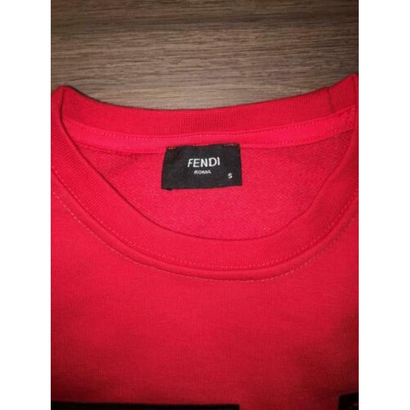 Fendi trui