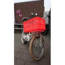 20 inch meisjes transportfiets van vogue