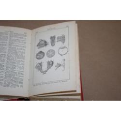 Geïllustreerde Encyclopaedie - Zakboekuitgave 1894 !!