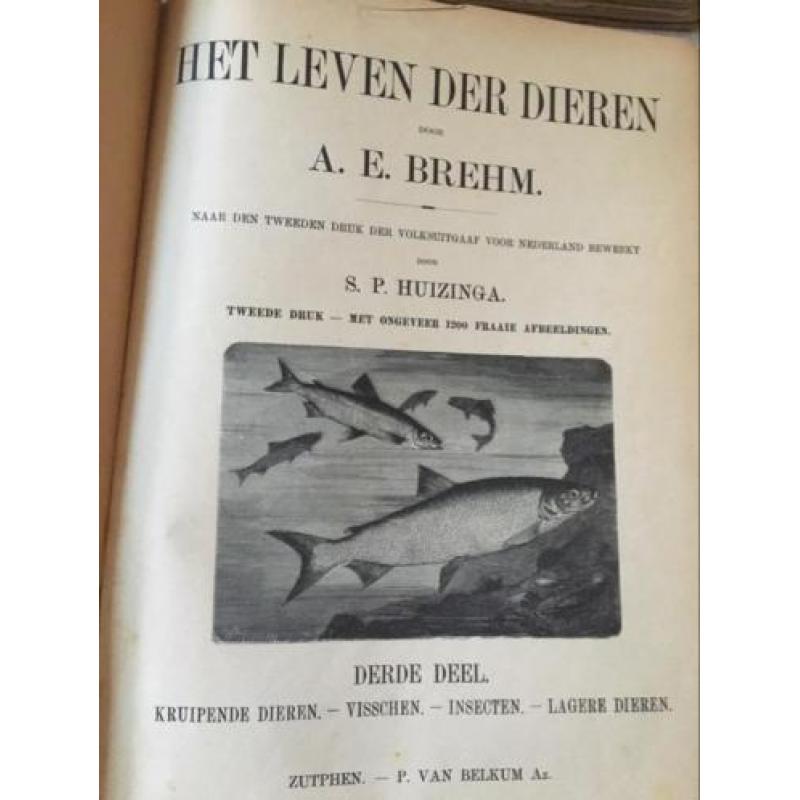 AE.Brehm. HET LEVEN DER DIEREN