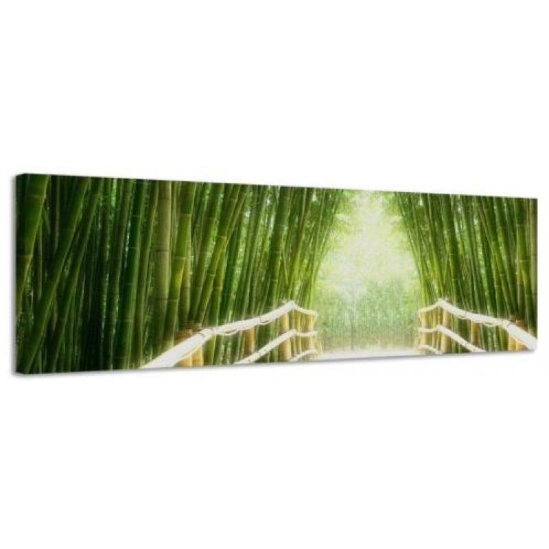 Diverse Canvas Panorama's - slechts EUR 49!