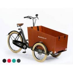 cargoTrike Cruiser Wide