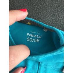 Prénatal body maat 50/56